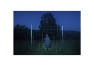 Евгений Молодцов. Вепсский лес III. 33x48,5