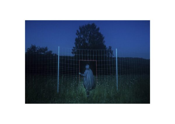 Евгений Молодцов. Вепсский лес III. 33x48,5