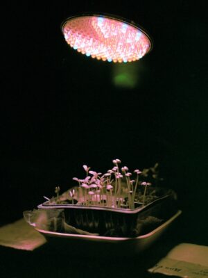 Фёдор Шклярук. On Aether VI. 50х70