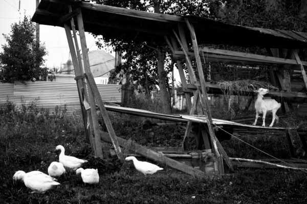 Федор Телков. 36 видов I. Вид №11. 53x80