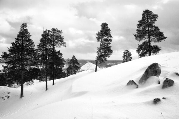 Федор Телков. 36 видов I. Вид №14. 53x80