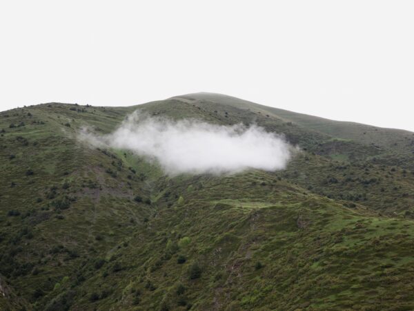 Федор Телков. Кровь нартов I. 60x80