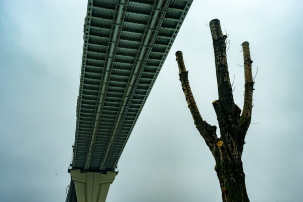 Евгений Гаркуша. Untitled V. 2018. 26х38