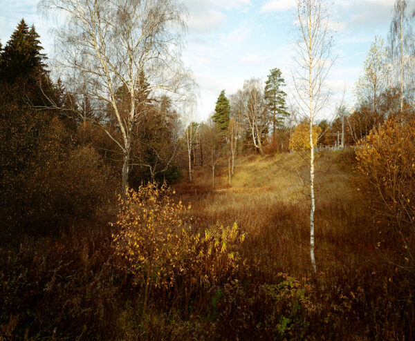 Евгений Гусаров. Untitled II, 40х50