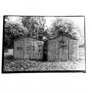 Катя Быкова. Untitled III. 25х25