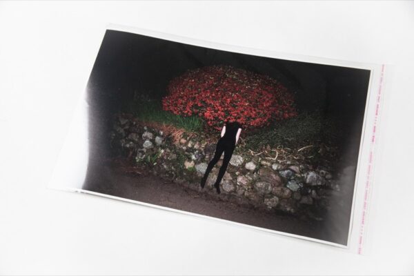 Елена Холкина, Untitled II, 23х32