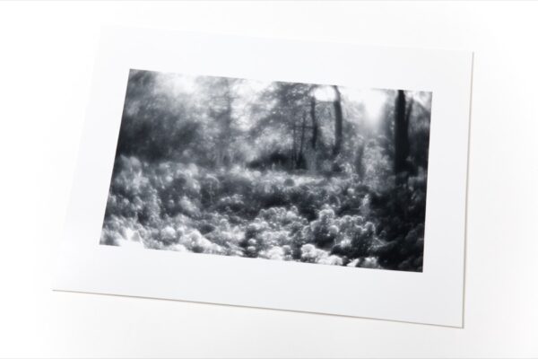 Людмила Таболина. Летний сад. Клумба. 30х40