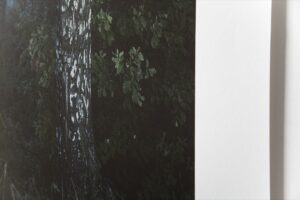 Станислав Марков. Untitled II. 50x50