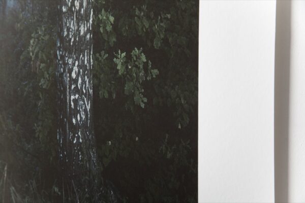 Станислав Марков. Untitled II. 50x50