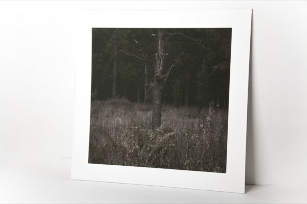 Станислав Марков. Untitled VI. 90x90