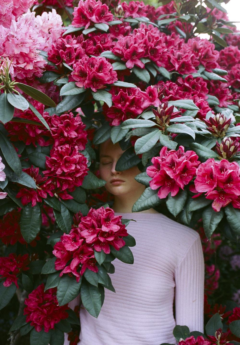 Катя Туркина Фасо. Sleeping Alice I. 40x60