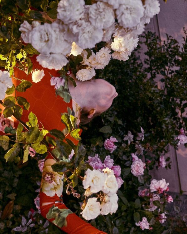 Катя Туркина Фасо. Sleeping Alice II. 40x60