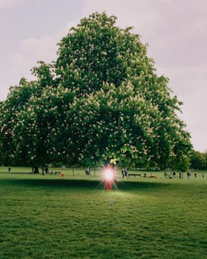 Катя Туркина Фасо. Sleeping Alice IV. 40x60