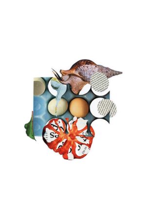 Ксения Юркова. SS*SR XI. 25x38