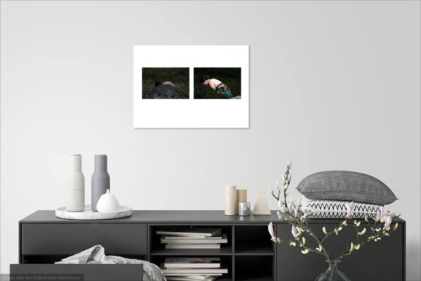 Варя Кожевникова. Untitled IV, 50x70