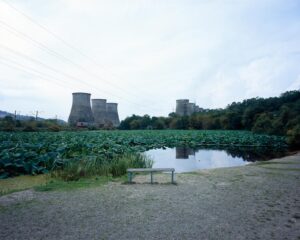 Павел Лимонов. Untitled I. 40x50