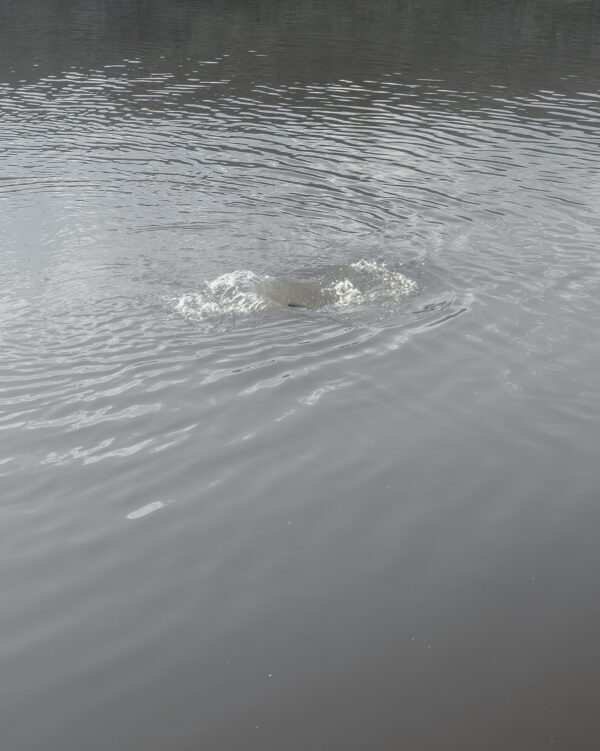 Наташа Лозинская. Место силы I. 40x50