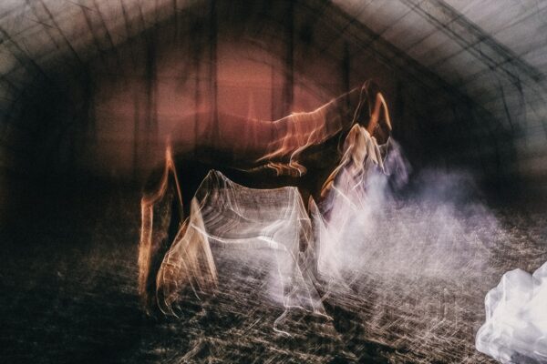 Наташа Лозинская. Untitled I. 40x60