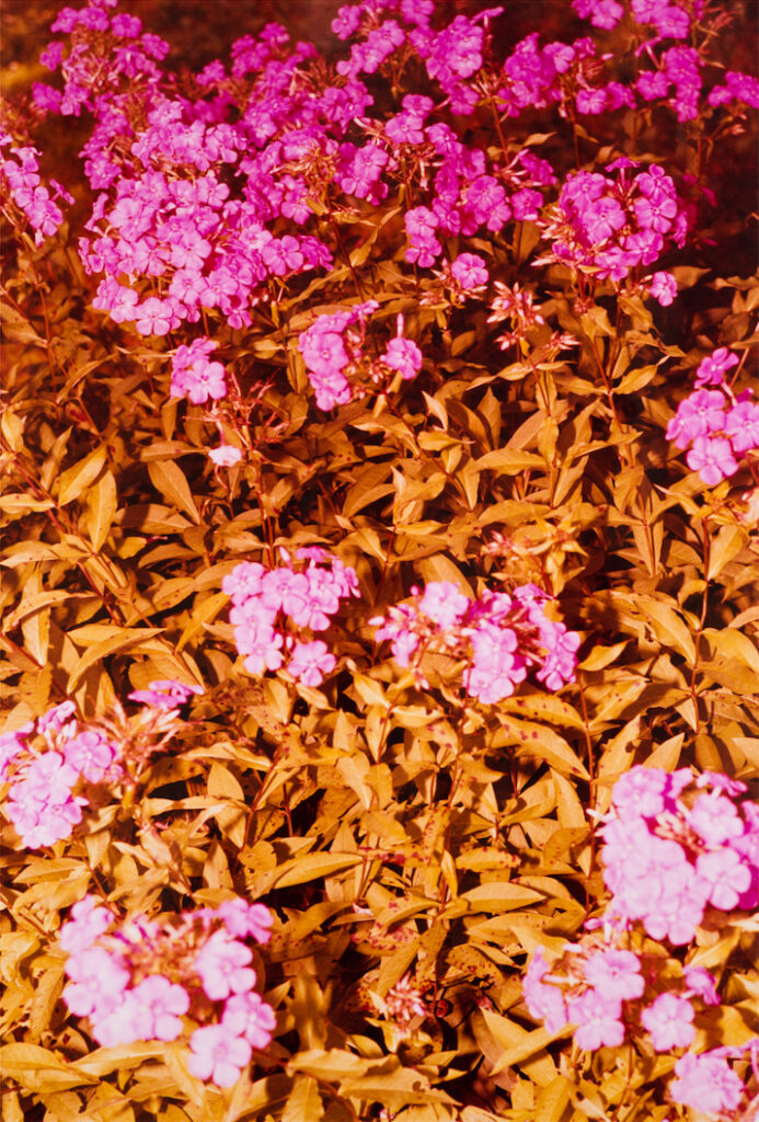 Екатерина Лукошкова