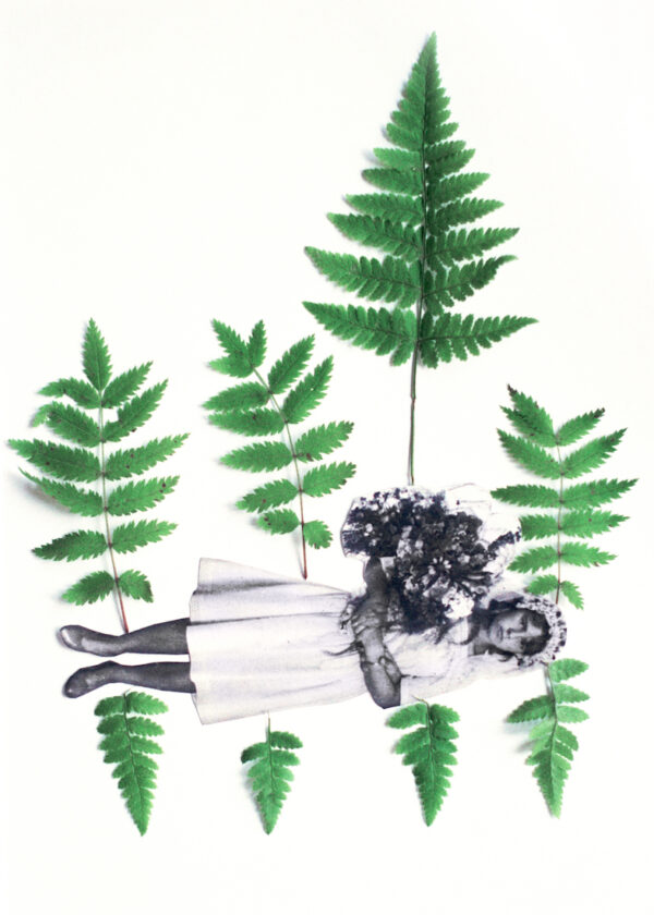 Юлия Бориссова. Колыбель для невесты II. 50х70