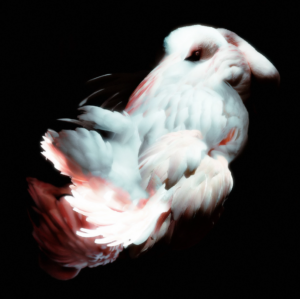 Даниил Макаров. Cherub. 33x33