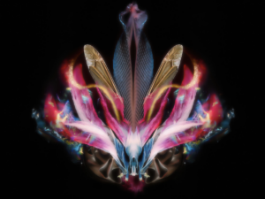 Даниил Макаров. Climax. 45x60