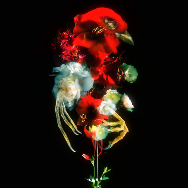 Даниил Макаров. Flowers of war I, 40x40