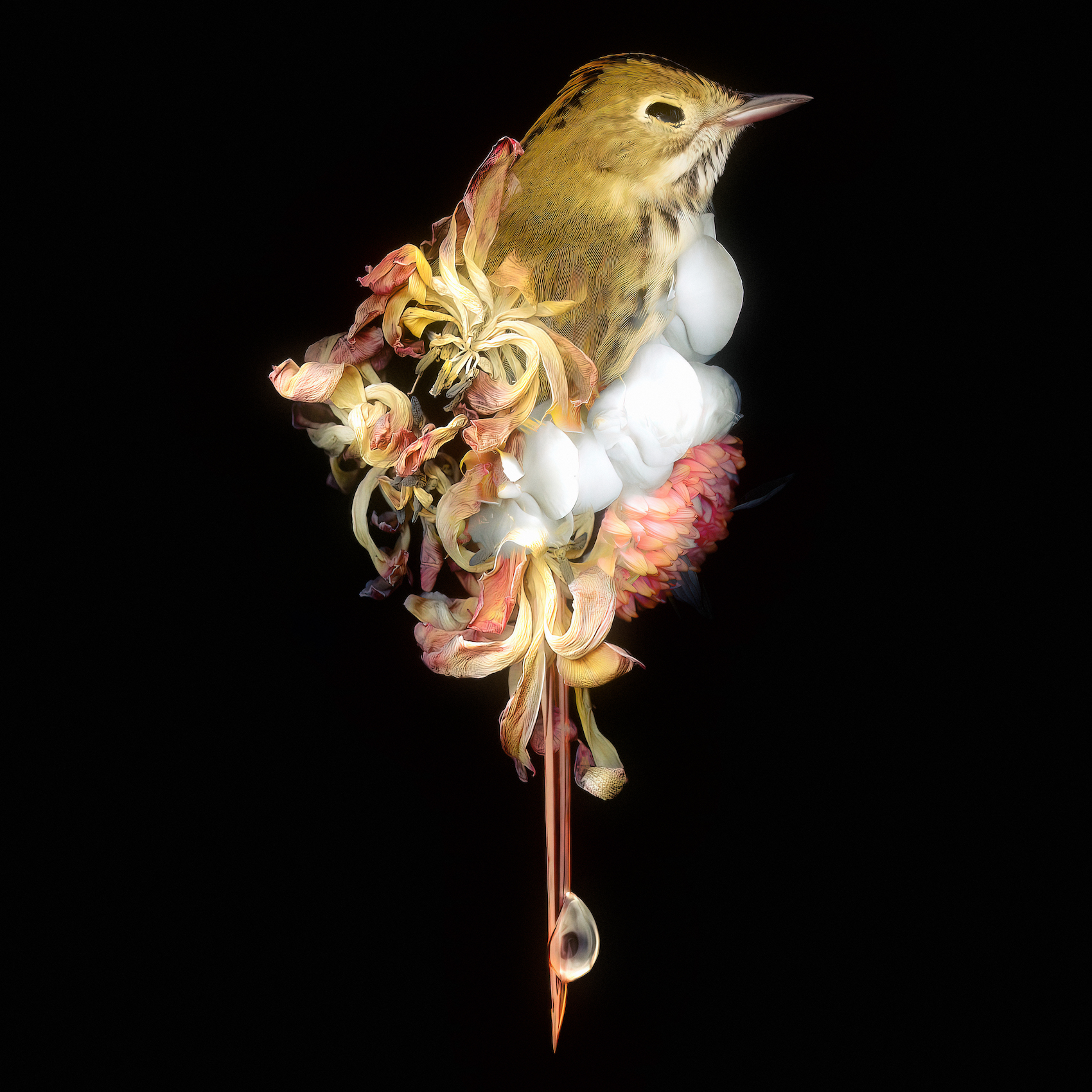 Даниил Макаров. Flowers of war II, 40×40