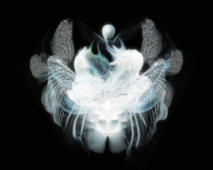 Даниил Макаров. Newborn pearl. 40x50