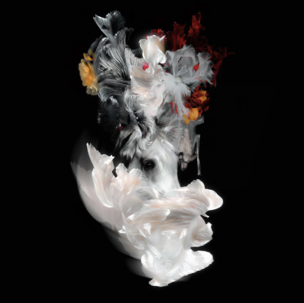 Даниил Макаров. Nightmare. 40x40