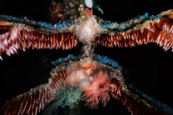 Даниил Макаров. Oil. 40x60