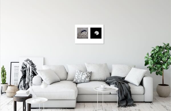 Евгений Молодцов. Гербарий земли III. 30х45