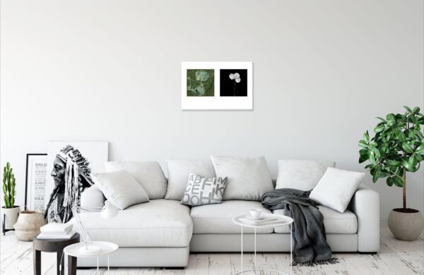 Евгений Молодцов. Гербарий земли I. 30х45