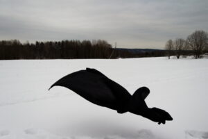 Надя Знаменская. Бледная голубая точка VI. 60x90