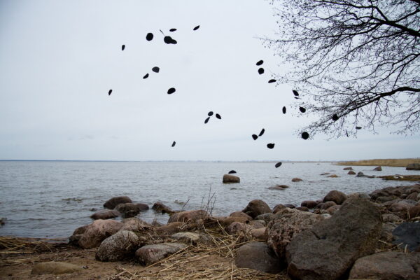 Надя Знаменская. Бледная голубая точка VII. 60x90