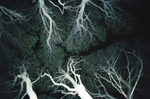 Дарья Назарова. Мой boyfriend инопланетянин. 30х40