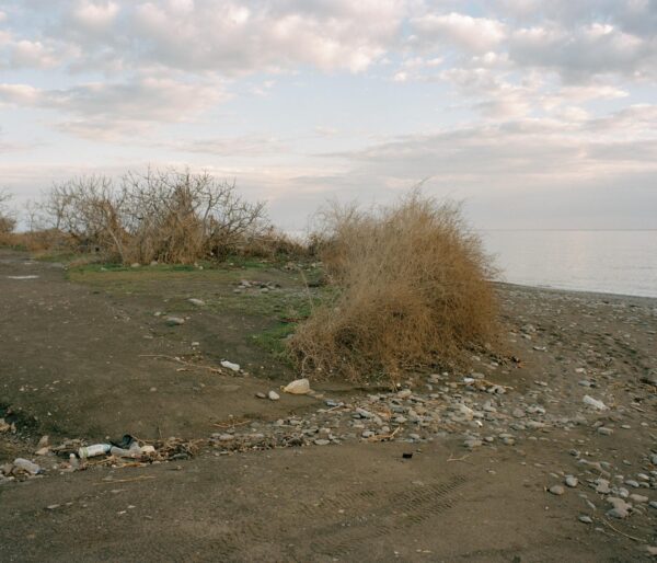 Илья Никитин. Реверс II. 90x105