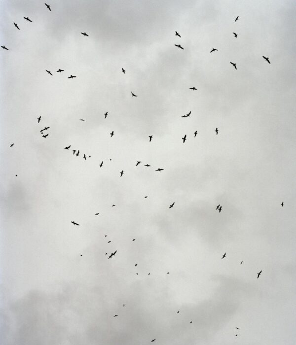 Илья Никитин. Реверс V. 60x70