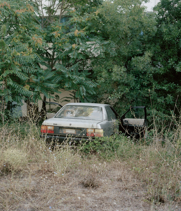 Илья Никитин. Реверс IX. 60x70