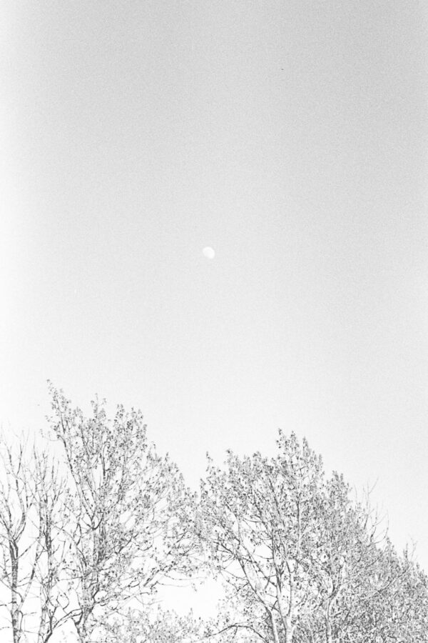 Мария Ермоленко. Untitled II 26,6x40