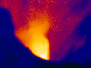 Александр Никольский. ex-humus I, 2023. 30x40