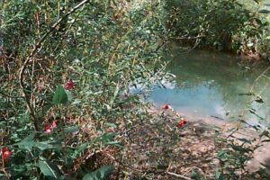 Анастасия Тайлакова. N/A — not applicable, special edits I