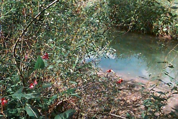 Анастасия Тайлакова. N/A — not applicable, special edits I