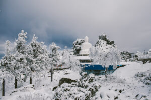 Анна Марченкова. Будда I. 40х60