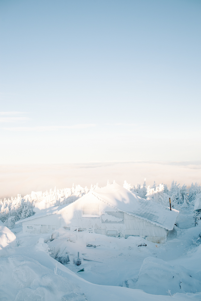 Анна Марченкова. Будда II. 30х45