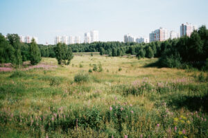 Анна Марченкова. Социальное жилье III. 30х45