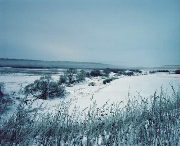 Илья Батраков. Untitled V