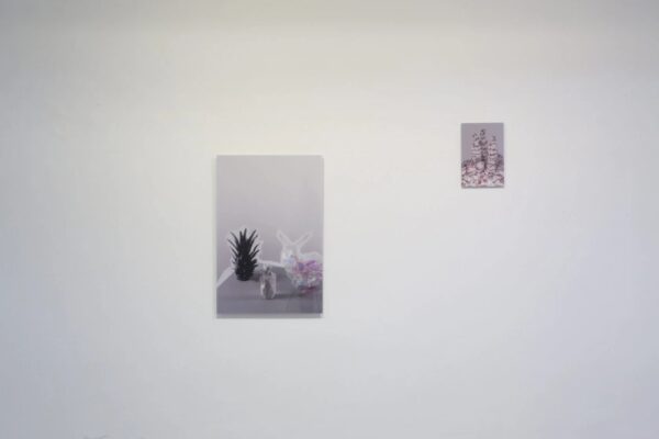 Ксения Юркова. SS*SR VI. 50x75