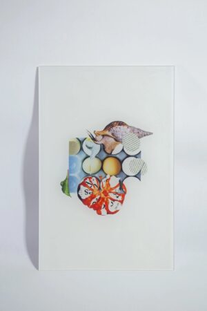 Ксения Юркова. SS*SR XI. 25x38