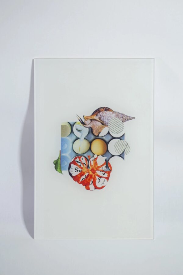 Ксения Юркова. SS*SR XI. 25x38